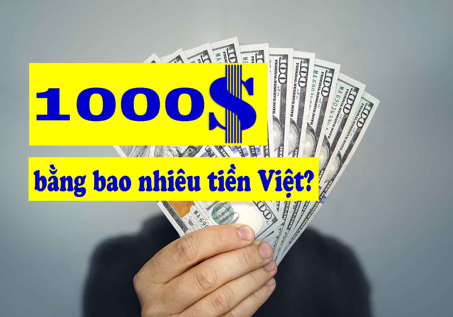 1000 Đô bằng bao nhiêu tiền Việt Nam theo tỷ giá hôm nay?