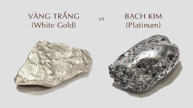 Cách phân biệt bạch kim và vàng trắng cực đơn giản